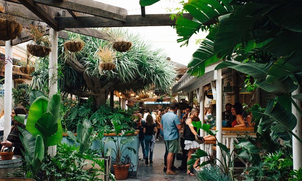 Thumbnail for Personal shopper: Wine sales, tastings and parties on the grapevine this weekend