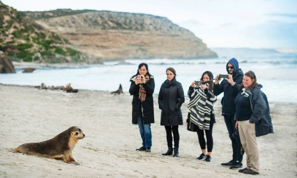 Thumbnail for Happy holidays: 10 things to do on Kangaroo Island