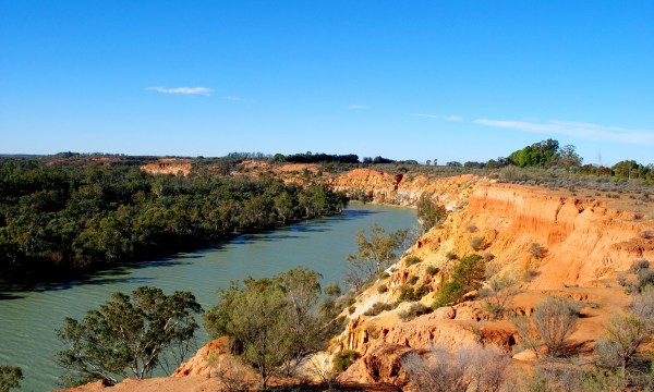 Thumbnail for South Australian Agricultural Town of the Year finalist: Renmark