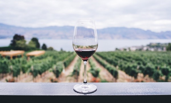 Thumbnail for Around South Australia in 20 wines