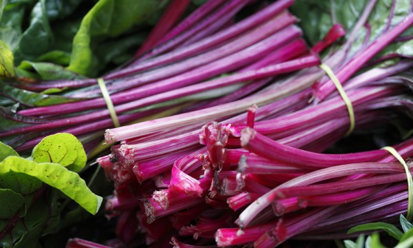 Thumbnail for Plant some rhubarb, prepare to compost and enjoy late blooms